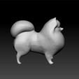 dog2222.jpg pomeranian dog - Dog breed - pomeranian 3d model