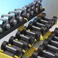 IMG_1738.jpg Gym MINI DUMBBELL RACK kaufen 1 Modell & erhalten 24 kostenlose Modell einfach zu drucken Sport