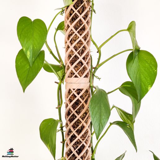 IMG_20240205_131928~2WZ.jpg Moss stick climbing aid - Helix Mosspole