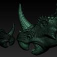 D2.jpg Triceratops Head