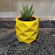 IMG_20210219_223224.jpg Low Poly Pineapple Mini Cactus Pot