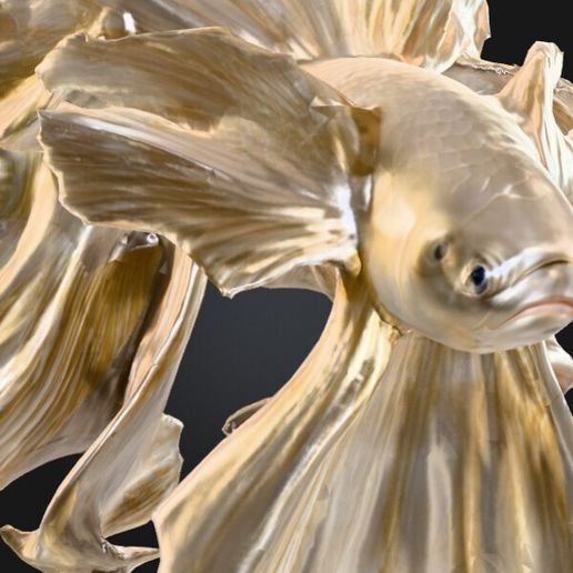 Capture-d'ecran-2025-09-04-193328.jpg 🐟 Escultura 3D - Peixe elegante com barbatanas alargadas