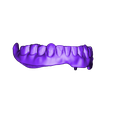 Lower Denture.stl Digital Full Dentures with Combined Glue-in Teeth Arch