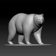 ZBrush-Documdfs.jpg Bear