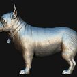 15.jpg French Bulldog model 3D print model