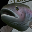 Rainbow-trout-solo-model-open-mouth-1-21.png fish head trophy rainbow trout / Oncorhynchus mykiss open mouth statue detailed texture for 3d printing