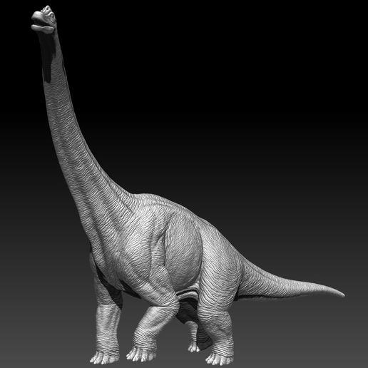 ZBrush-Document.jpg Brachiosaurus B Walking | Dinosaur