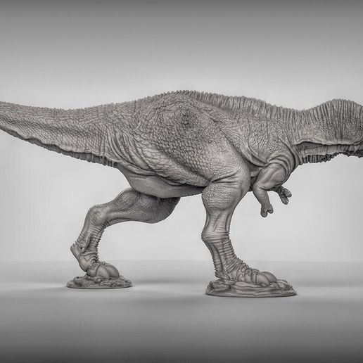 2e12d2702a22aaeff10d3922bffab789_display_large.jpg Alioramus dinosaurus