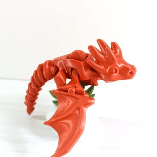 WhatsApp-Image-2024-05-10-at-8.55.43-AM.jpeg Little Flying Dragon