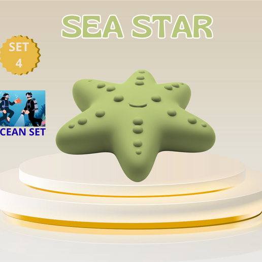 Cute Mini Sea Star – Commercial