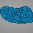 coral.png 3D Scanned Corals