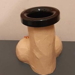WhatsApp-Image-2021-03-08-at-17.06.41-(3).jpeg STL file MATE PENIS・3D printable model to download