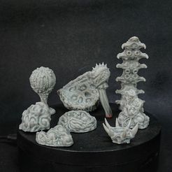 Jeu de terrain de la ruche (pré-supposé)