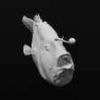 32.png Triplewart Seadevil - Cryptopsaras Couesii - Realistic Angler Fish