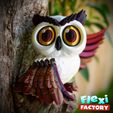 Flexi-Factory-Owl_01.jpg Flexi Factory Owl