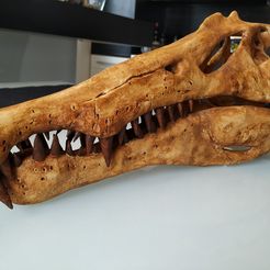 spinosaurus-dinosaur-skull-3d-printing-223626.jpg Fichier OBJ Crâne de dinosaure Spinosaurus Dinosaur・Plan pour imprimante 3D à télécharger