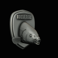 common-carp-20.png head trophy COMMON CARP (CYPRINUS CARPIO)open mouth statue 2 detailed texture for 3d printing
