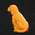 1043-Basset_Griffon_Vendeen_Petit_Pose_05.jpg Basset Griffon Vendeen Petit Dog 3D Print Model Pose 05