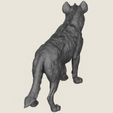 Wild-Hyena-09.jpg Wild Hyena Print Ready 3D Model