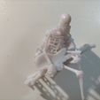 IMG20231112165941.jpg Skeleton guitarist