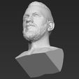 23.jpg Ragnar Lothbrook Vikings bust 3D printing ready stl obj