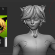 Screenshot-2025-06-27-225046.png Cat Noir Fixed