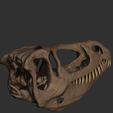 ZBrush-Document8.jpg Dilophosaurus Skull