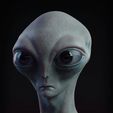 GreyAlien.jpg Buste d'extraterrestre gris