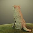 DRENDER6.jpg Cane