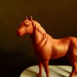 SAM_2531.jpg Horse Miniatures Set