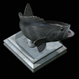 White-grouper-open-mouth-1-30.png fish white grouper / Epinephelus aeneus trophy statue detailed texture for 3d printing
