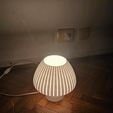 WhatsApp-Image-2024-09-03-at-12.14.57.jpeg Lámpara hongo / Mushroom lamp