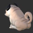 IMG_3560.jpg baby pug