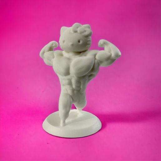 PhotoRoom_20230628_175251.jpeg Hello kitty swole body