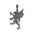 12.jpg 00039 Dragon Small Charm Pendant