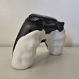20241221_124217.jpg Ergonomic XBOX Controller Grip