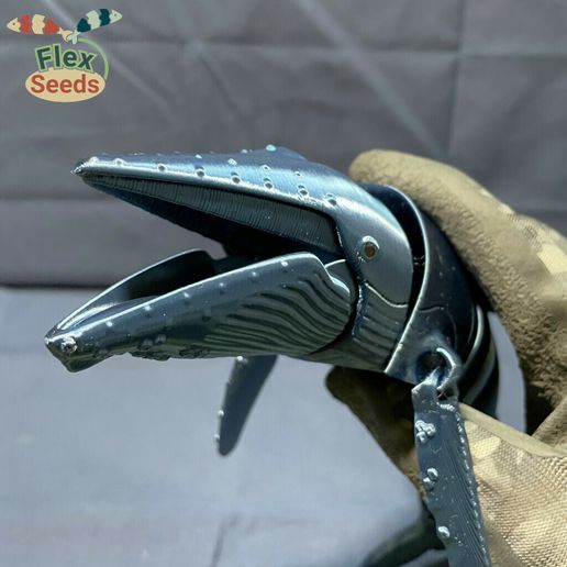 Humpback-Whale-new_v2-3.jpg Знак горбатого кита-Ⅱ (печать на месте)