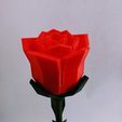 IMG_20170328_145750.jpg Low-Poly-Rose