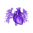 Heart with vessels_stl.stl 3D Model of Heart with Vessels
