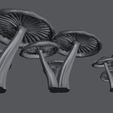Mushroom_Patch3.jpg Mushroom Patch