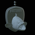 White-grouper-head-trophy-35.png fish head trophy white grouper / Epinephelus aeneus open mouth statue detailed texture for 3d printing