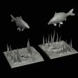 carp-scenery-45cm-24.png two carp scenery in underwather for 3d print detailed texture