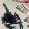 Flexi Print-In-Place Scorpion