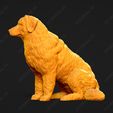 1890-Bernese_Mountain_Dog_Pose_06.jpg Bernese Mountain Dog 3D Print Model Pose 06