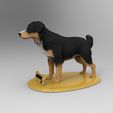untitled.388.jpg Mongrel Dog Borador