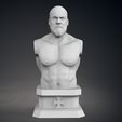 11.jpg Triple H Bust - Classic and Current Versions