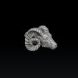 dc21sf212sr4f5erg.jpg Aries Head Pendant 3D print model