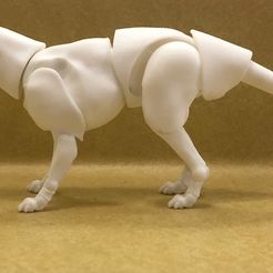 IMG_7030.jpg 1/12 Scale Thylacine Action Figure