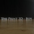 ThePrint3D-Boy