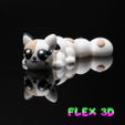 Cat-Chunky-4.jpg Flex 3D Kitty Chunky